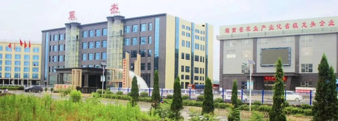 湖南軍杰辣椒,軍杰剁辣椒,湖南剁辣椒 