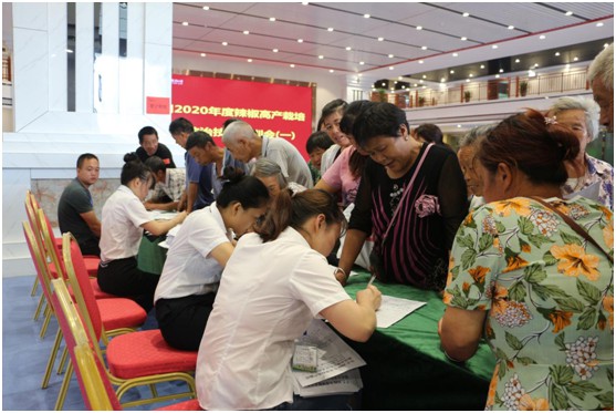 湖南軍杰辣椒,軍杰剁辣椒,湖南剁辣椒 