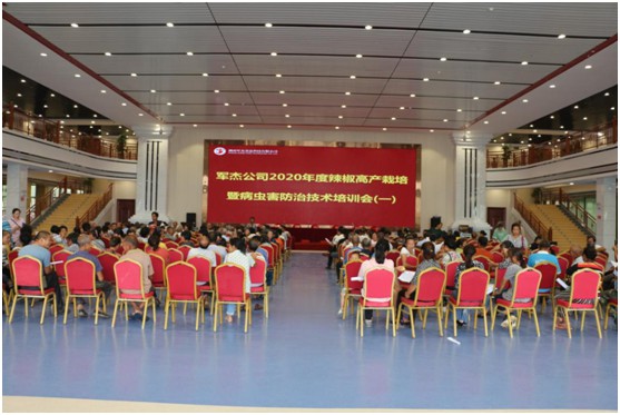 湖南軍杰辣椒,軍杰剁辣椒,湖南剁辣椒 