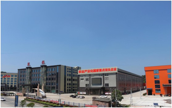 湖南軍杰辣椒,軍杰剁辣椒,湖南剁辣椒 