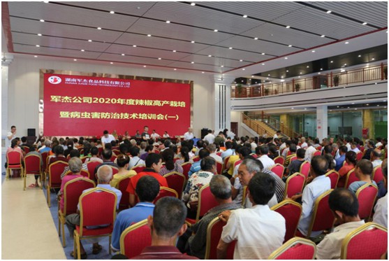 湖南軍杰辣椒,軍杰剁辣椒,湖南剁辣椒 