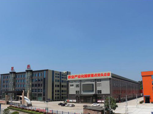 湖南軍杰辣椒,軍杰剁辣椒,湖南剁辣椒 