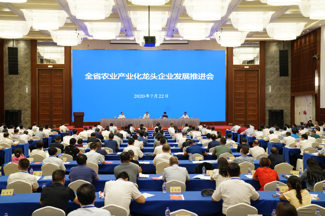 湖南軍杰辣椒,軍杰剁辣椒,湖南剁辣椒 