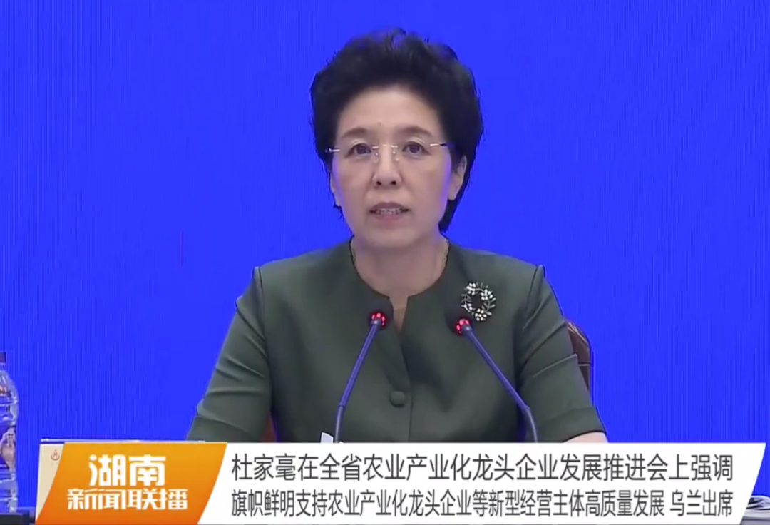 湖南軍杰辣椒,軍杰剁辣椒,湖南剁辣椒 